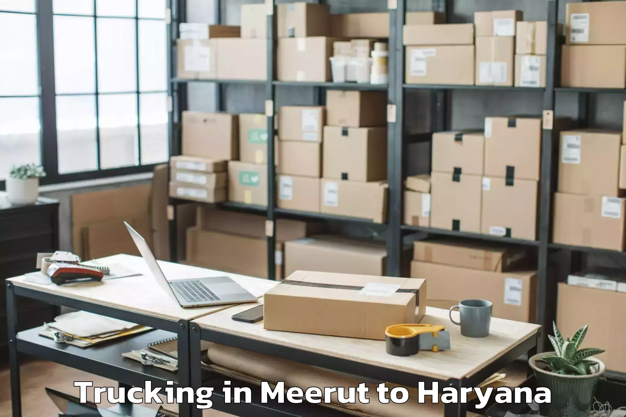 Professional Meerut to Gharaunda Trucking